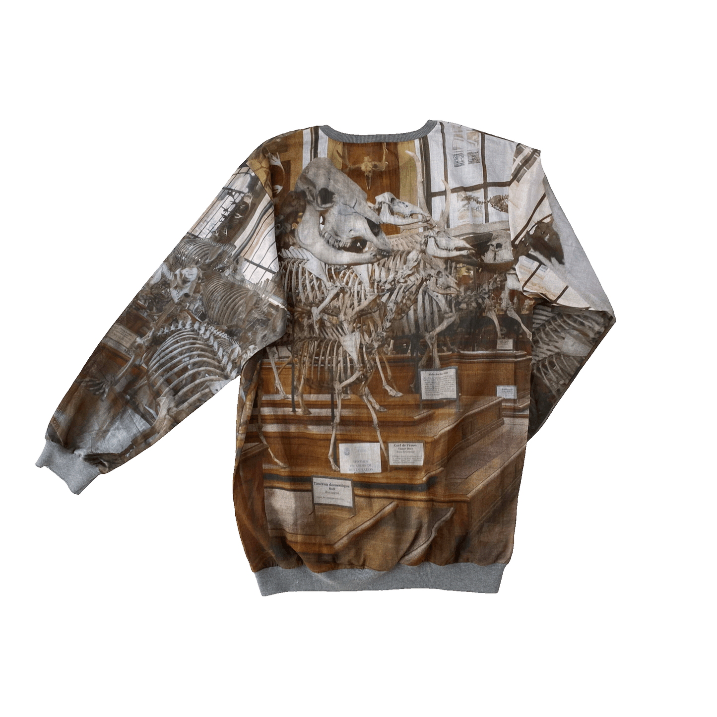 Nº49 Holidaydinosaur Longsleeve