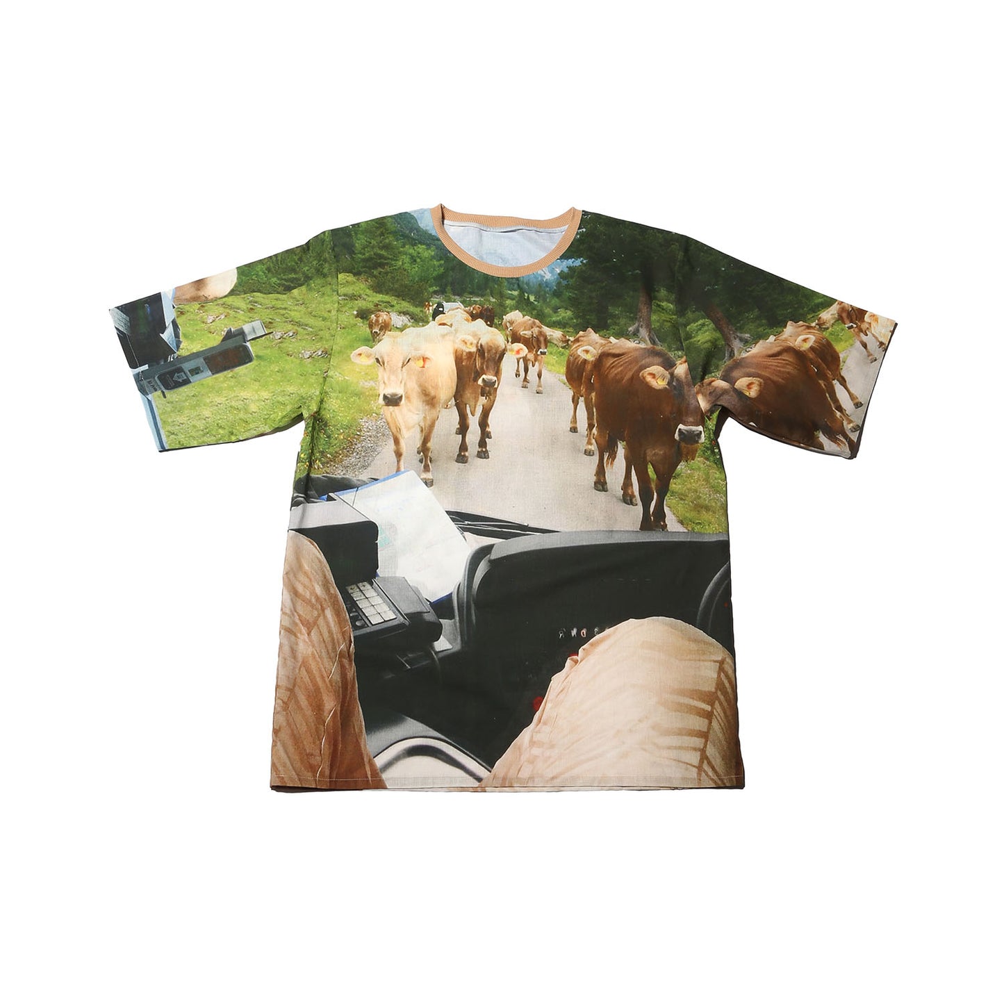 Nº67 Holidaycows