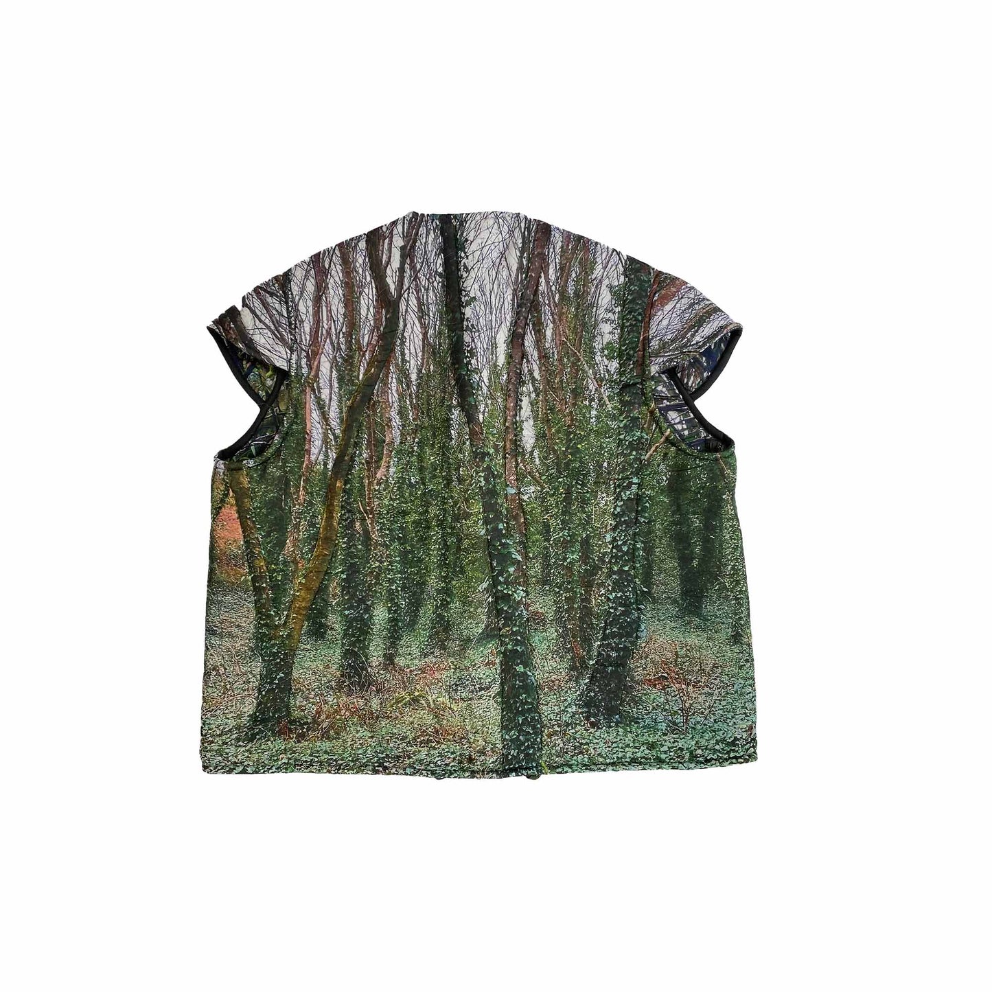 N°80 Liningvest Forest