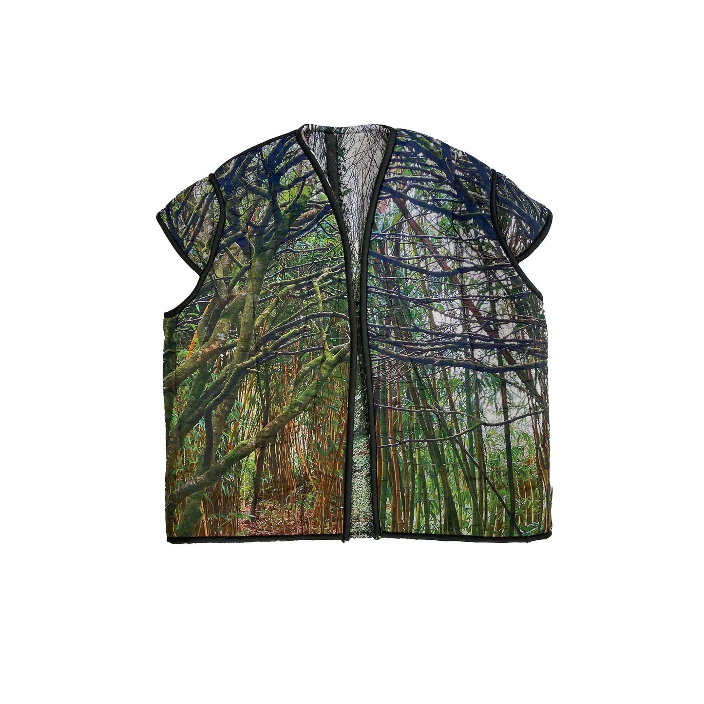 N°80 Liningvest Forest