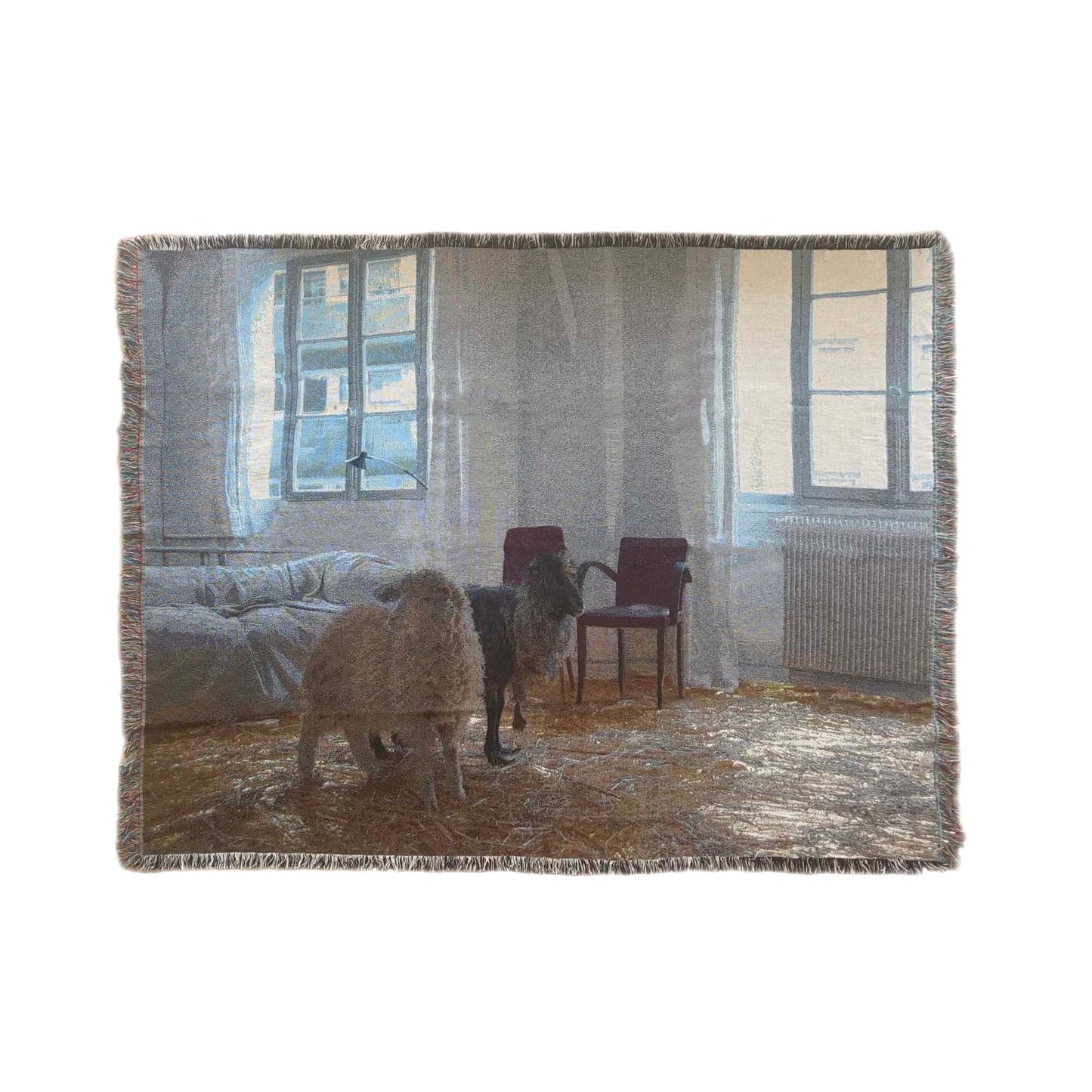 Nº51 Sheep Blanket