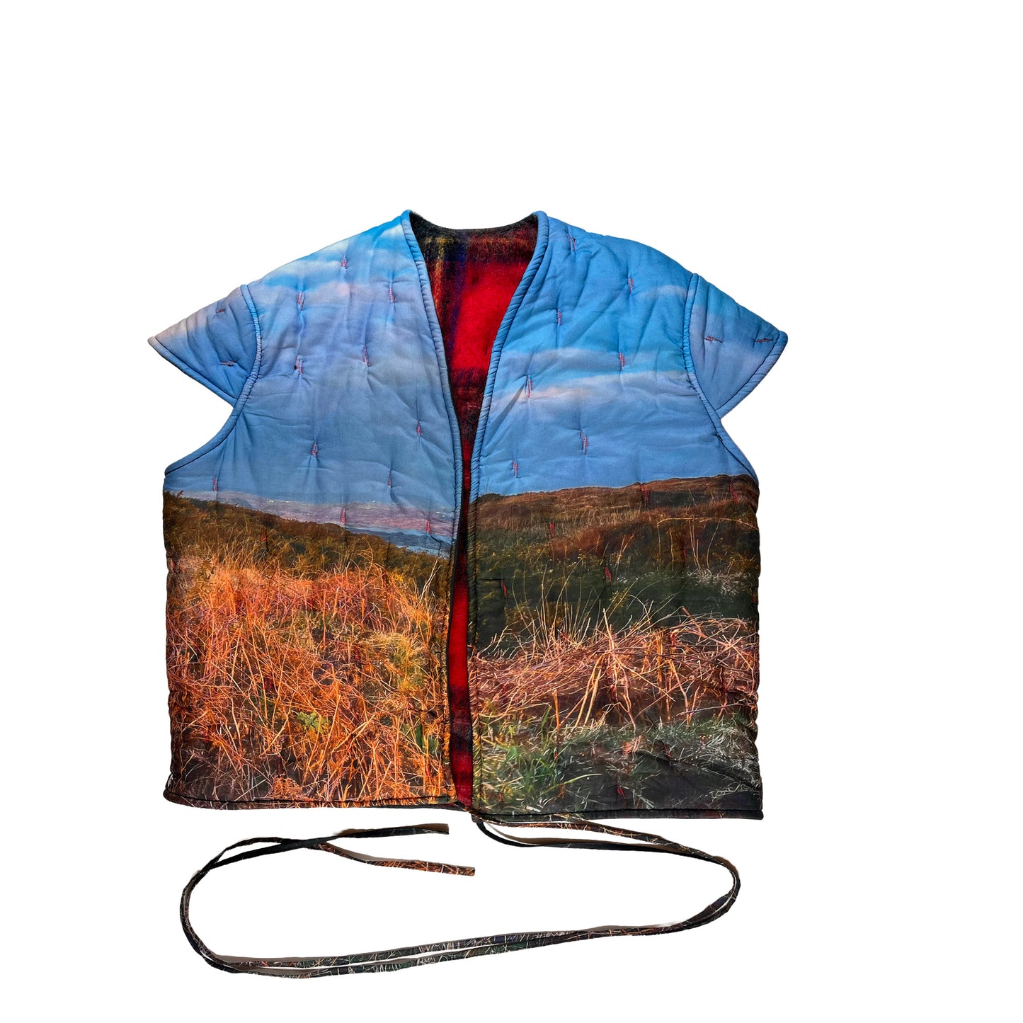 N°80 Liningvest Wasteland