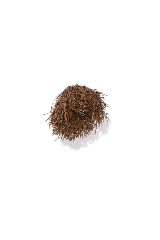 Beachwig